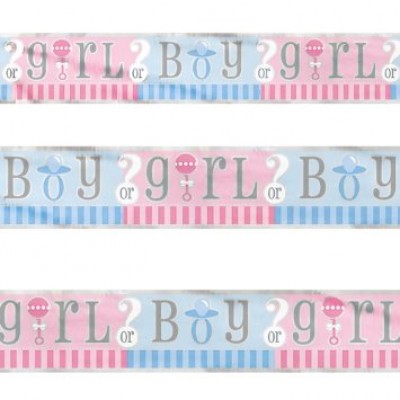 Baby Shower Banner - Gender Revel (Boy/Girl)